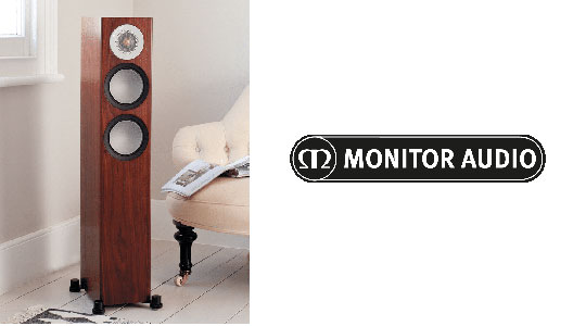 monitorsilver2